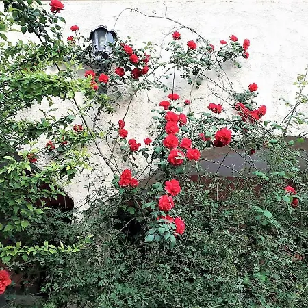 Achladi Villa Ioanneta מראה חיצוני תמונה