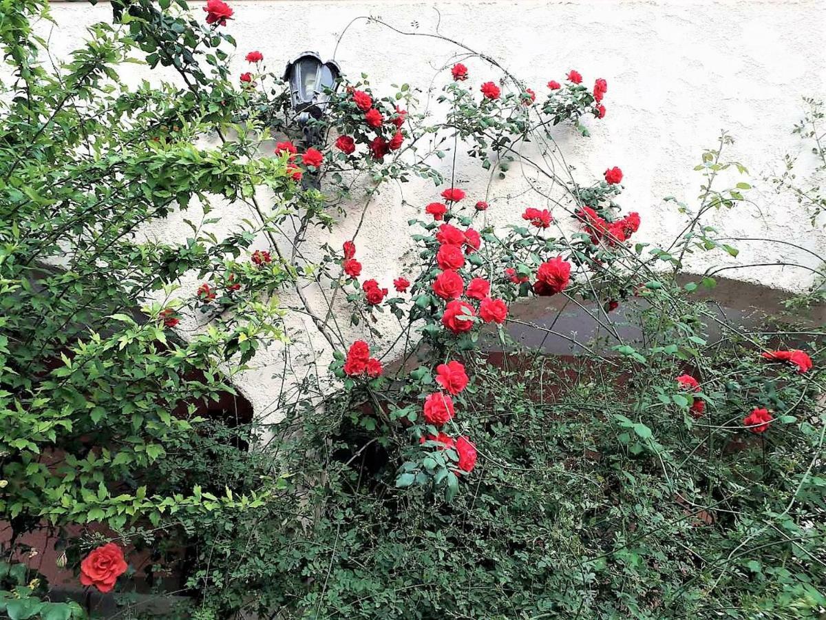 Ioanneta Holiday home Achladi