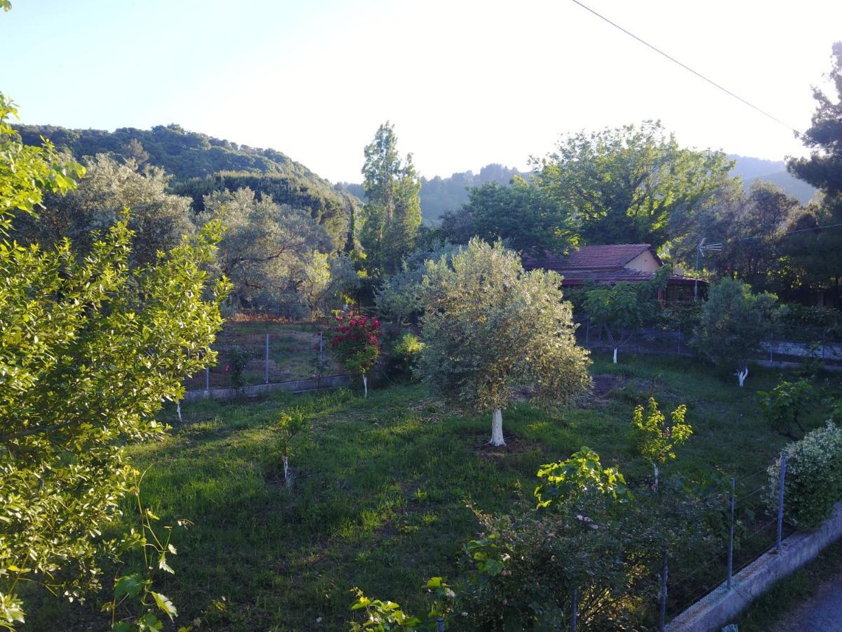 Ioanneta